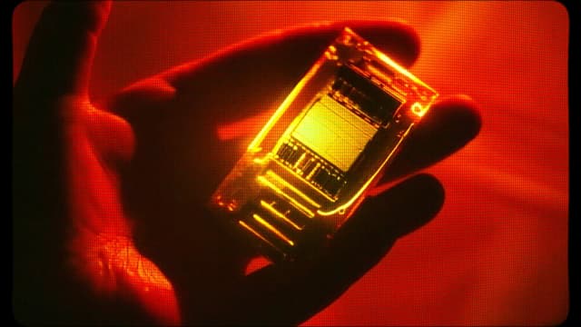 10. The Chip