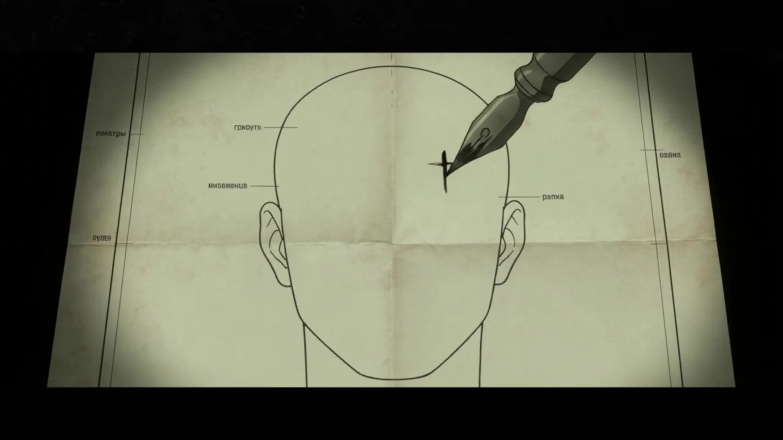 The Forehead